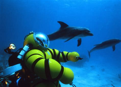 aquanaut coral gables